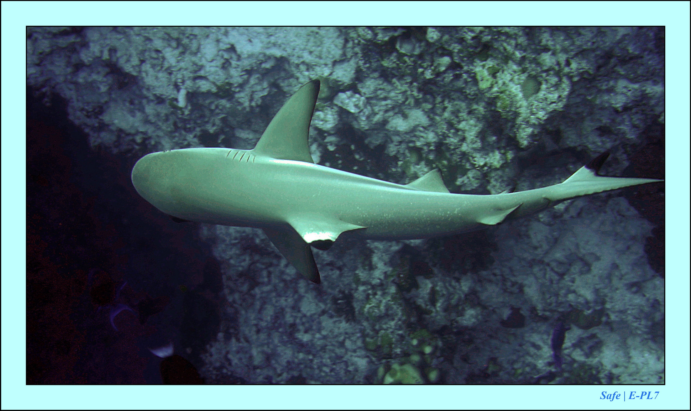 2023 - 07 - Sandies Bathala - 142